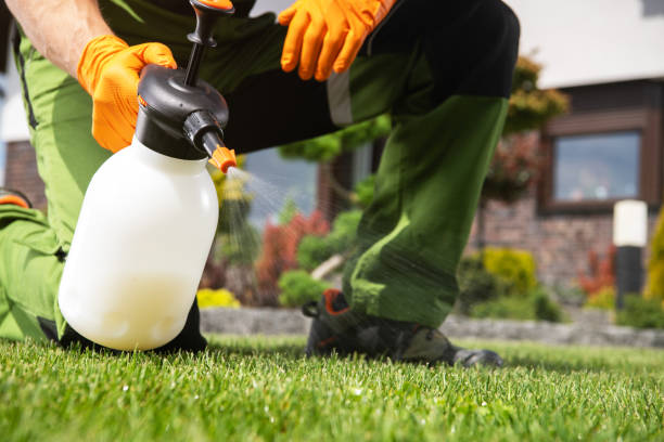 Flea Control Services in Stratford, WI