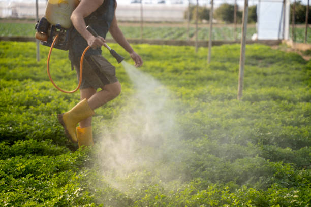 Best Pest Removal Services  in Stratford, WI