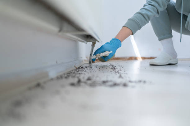 Best Residential Pest Control  in Stratford, WI