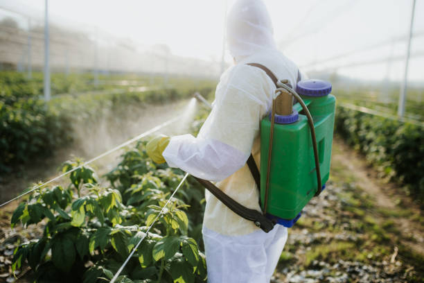 Best Affordable Pest Control Services  in Stratford, WI